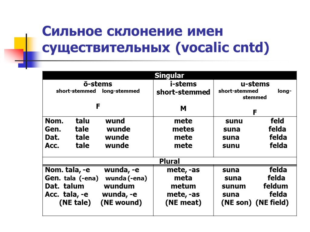 Сильное склонение имен существительных (vocalic cntd)